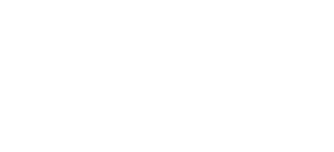 LiveKit Logo